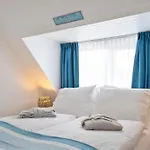 Boom * Zandvoort