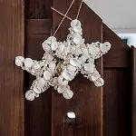 Boom Accommodatie bij particulieren Zandvoort