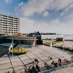 Boom * Zandvoort