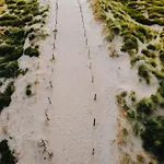 Accommodatie bij particulieren Boom *