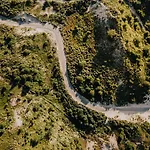 Accommodatie bij particulieren Boom Zandvoort