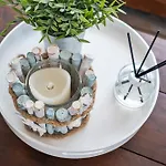 Boom Accommodatie bij particulieren