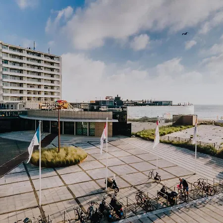 Boom * Zandvoort