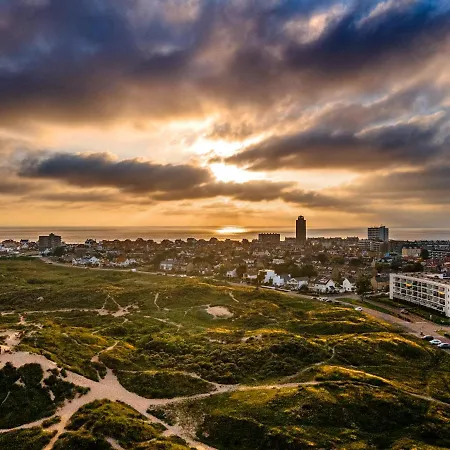 Boom Zandvoort