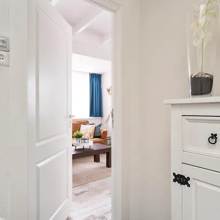 Séjour chez l'habitant Boom Zandvoort