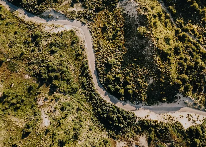 ホームステイ Boom ザントフォールト