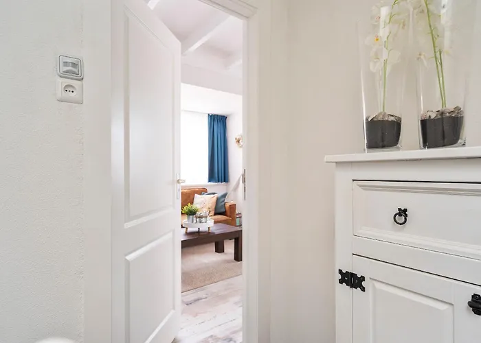 Séjour chez l'habitant Boom Zandvoort